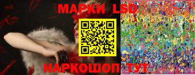 дурь Гай
