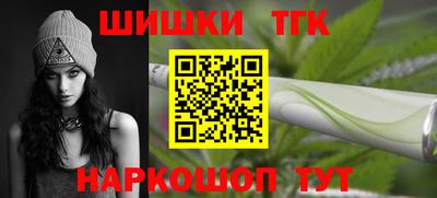 стафф Гатчина