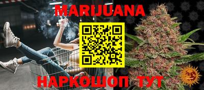 стафф Гатчина