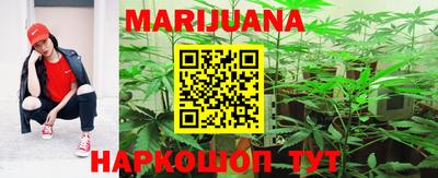 стафф Гатчина