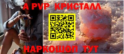 стафф Гатчина