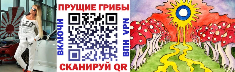 Псилоцибиновые грибы MAGIC MUSHROOMS купить сайты Алушта