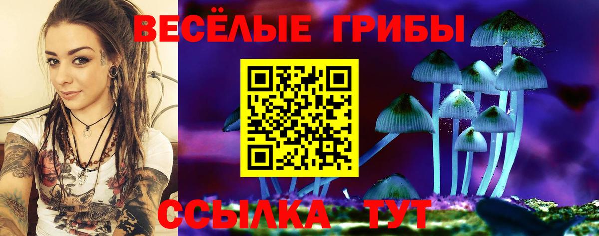 Алушта  Псилоцибиновые грибы GOLDEN TEACHER  Вход с VPN 