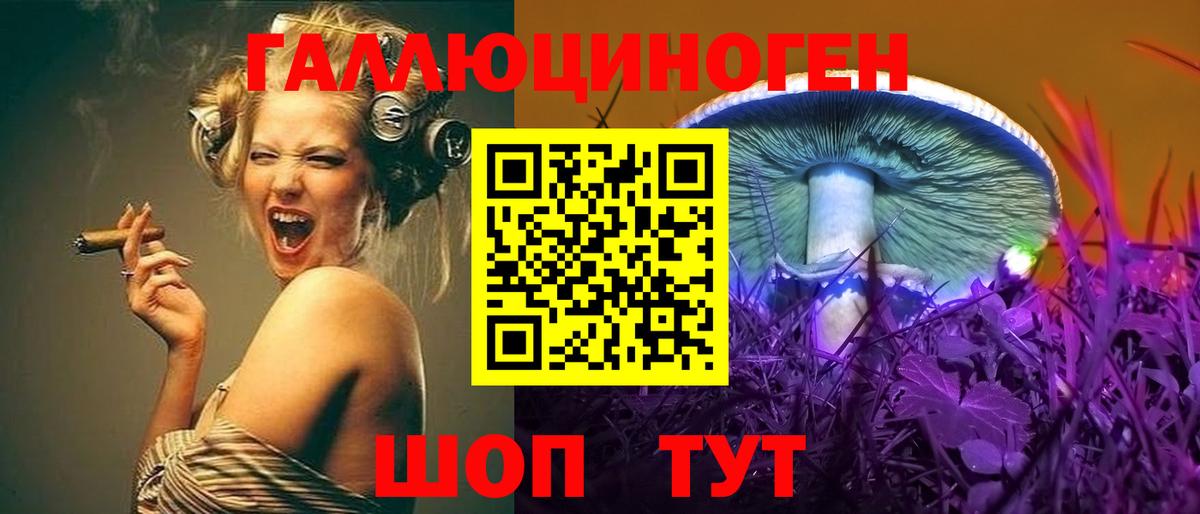 Псилоцибиновые грибы Psilocybe Алушта