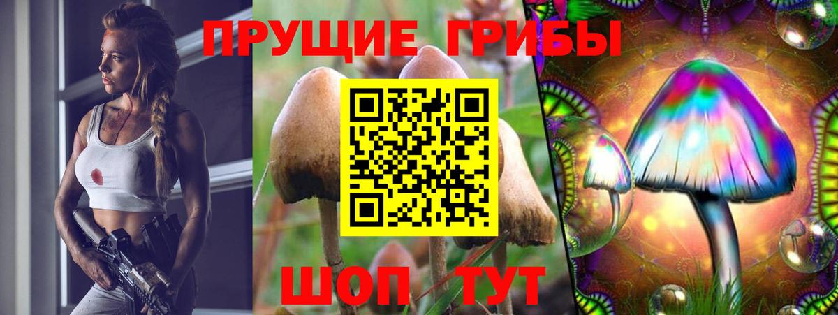 Алушта  Псилоцибиновые грибы Psilocybine cubensis  Вход с VPN 