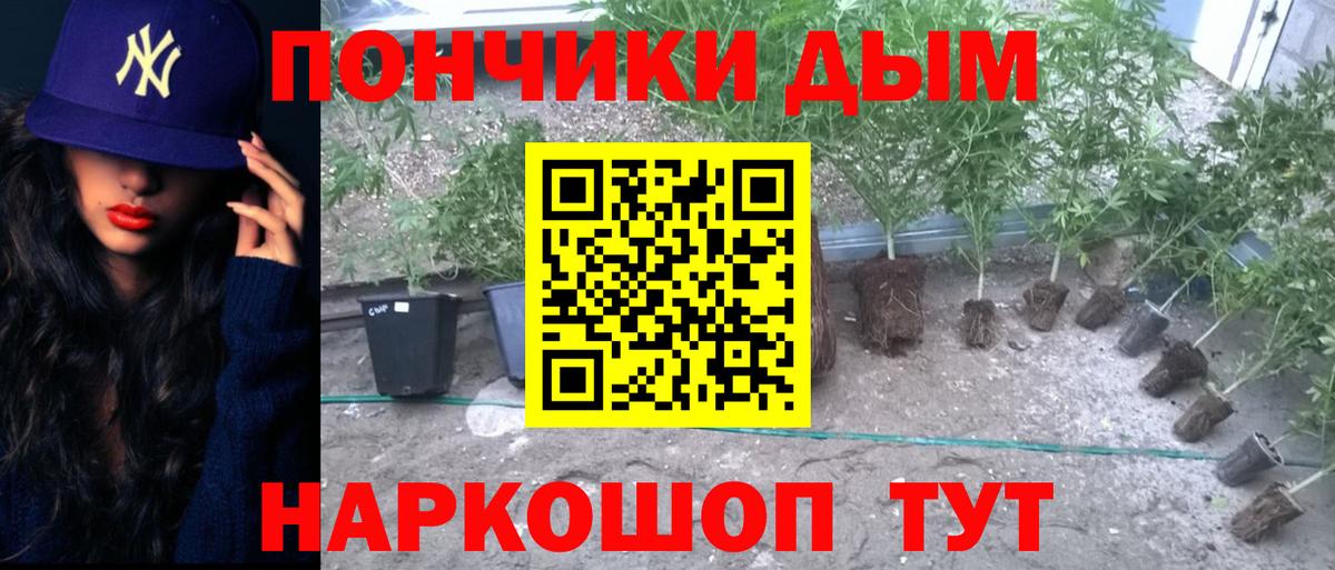 Бошки Шишки семена  Алушта  Конопля OG Kush  Канабис Bruce Banner  МАРИХУАНА ГИДРОПОН 