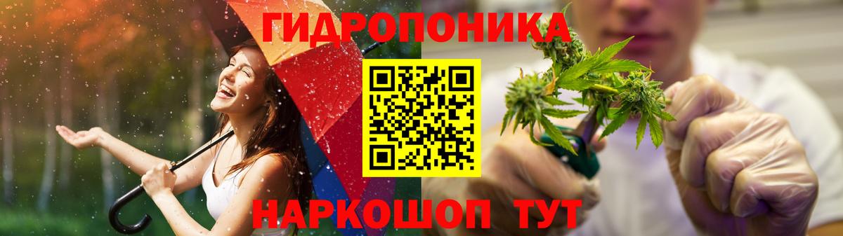 Шишки марихуана марихуана  Бошки Шишки план  Вход с VPN  Канабис индика  Бошки Шишки конопля  Алушта 